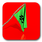 [$=project.imageDescription(